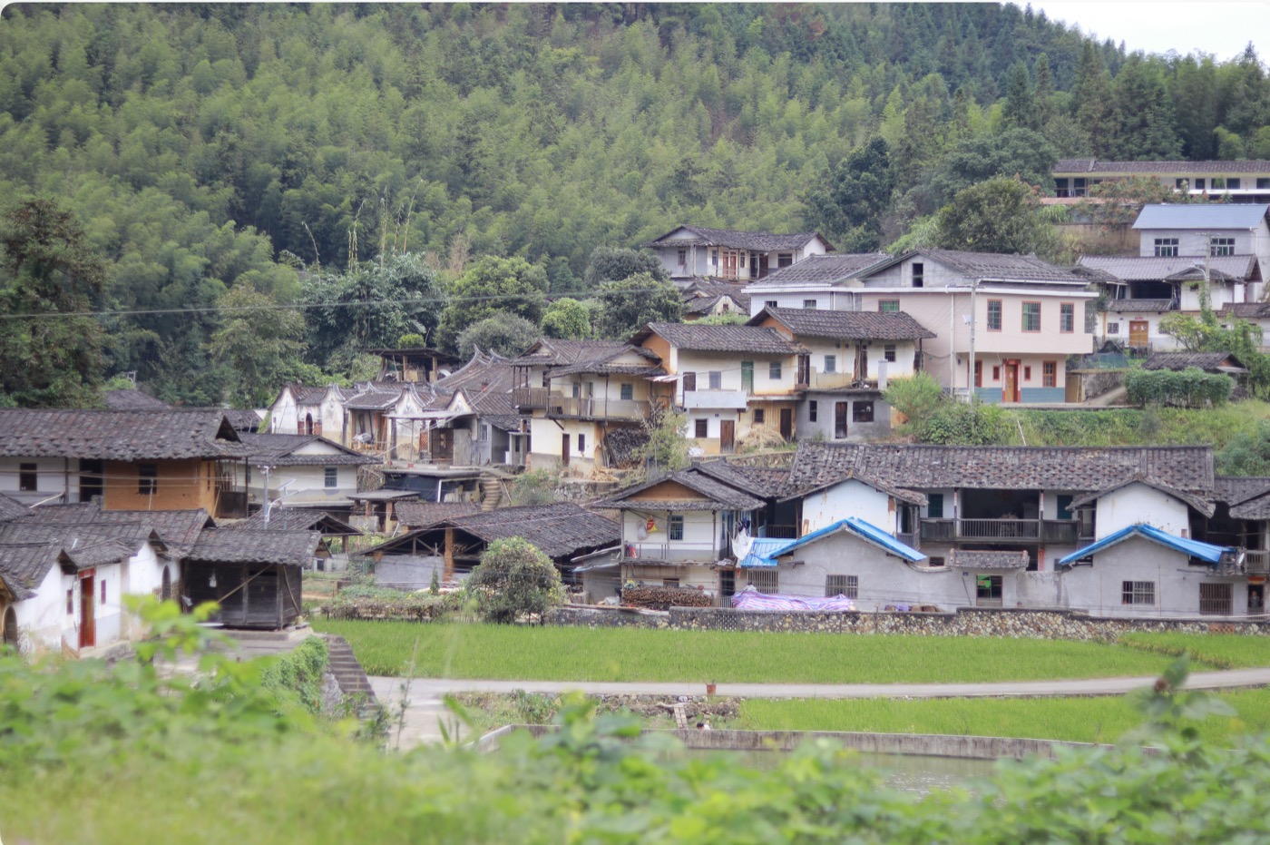 故乡山村